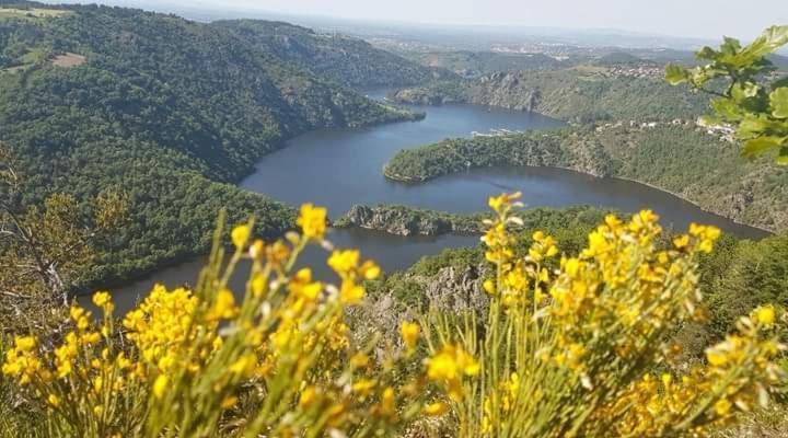 La Fortance Paradis Naturel - Proche De La Ville Planfoy Экстерьер фото