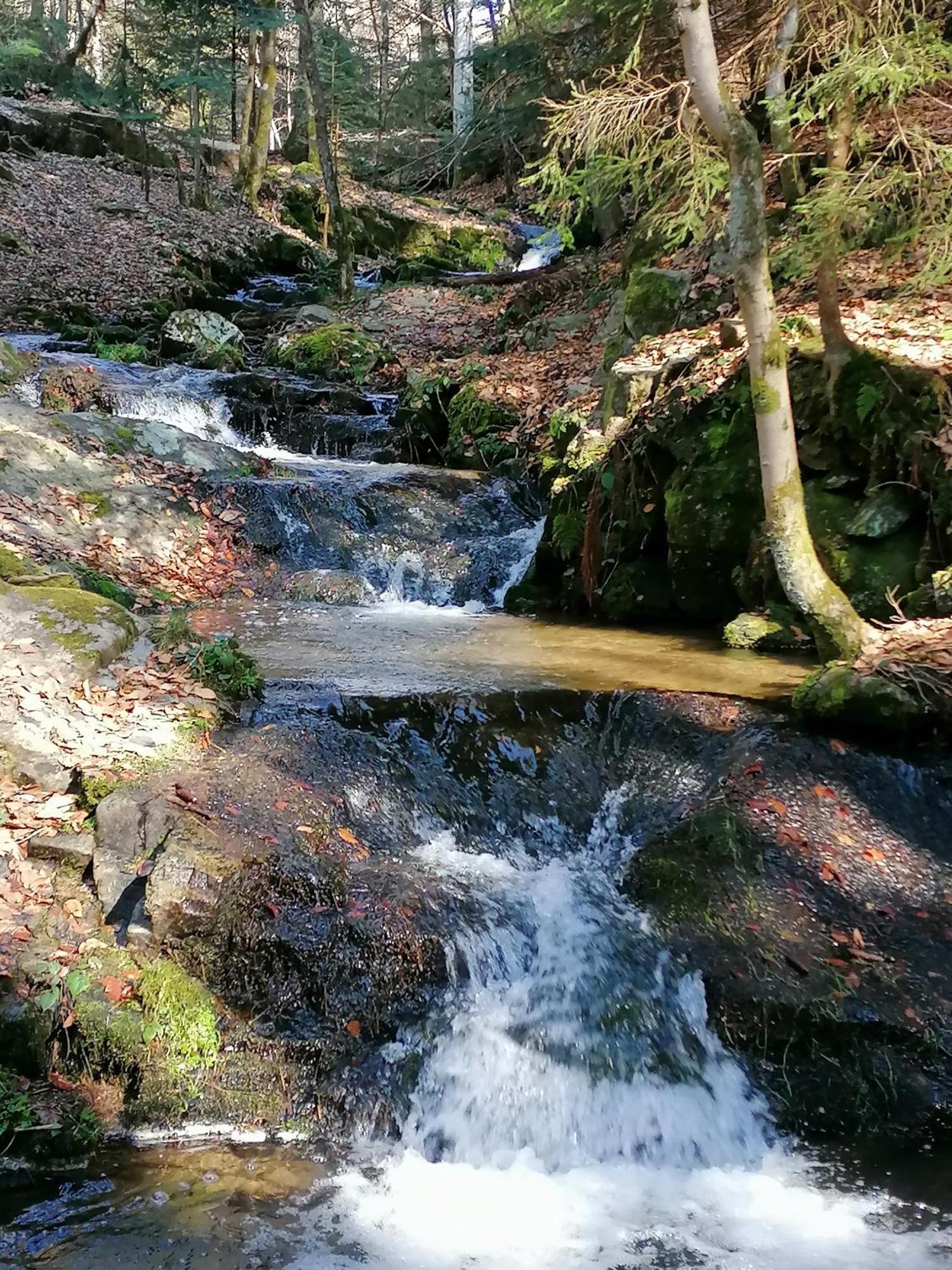 La Fortance Paradis Naturel - Proche De La Ville Planfoy Экстерьер фото