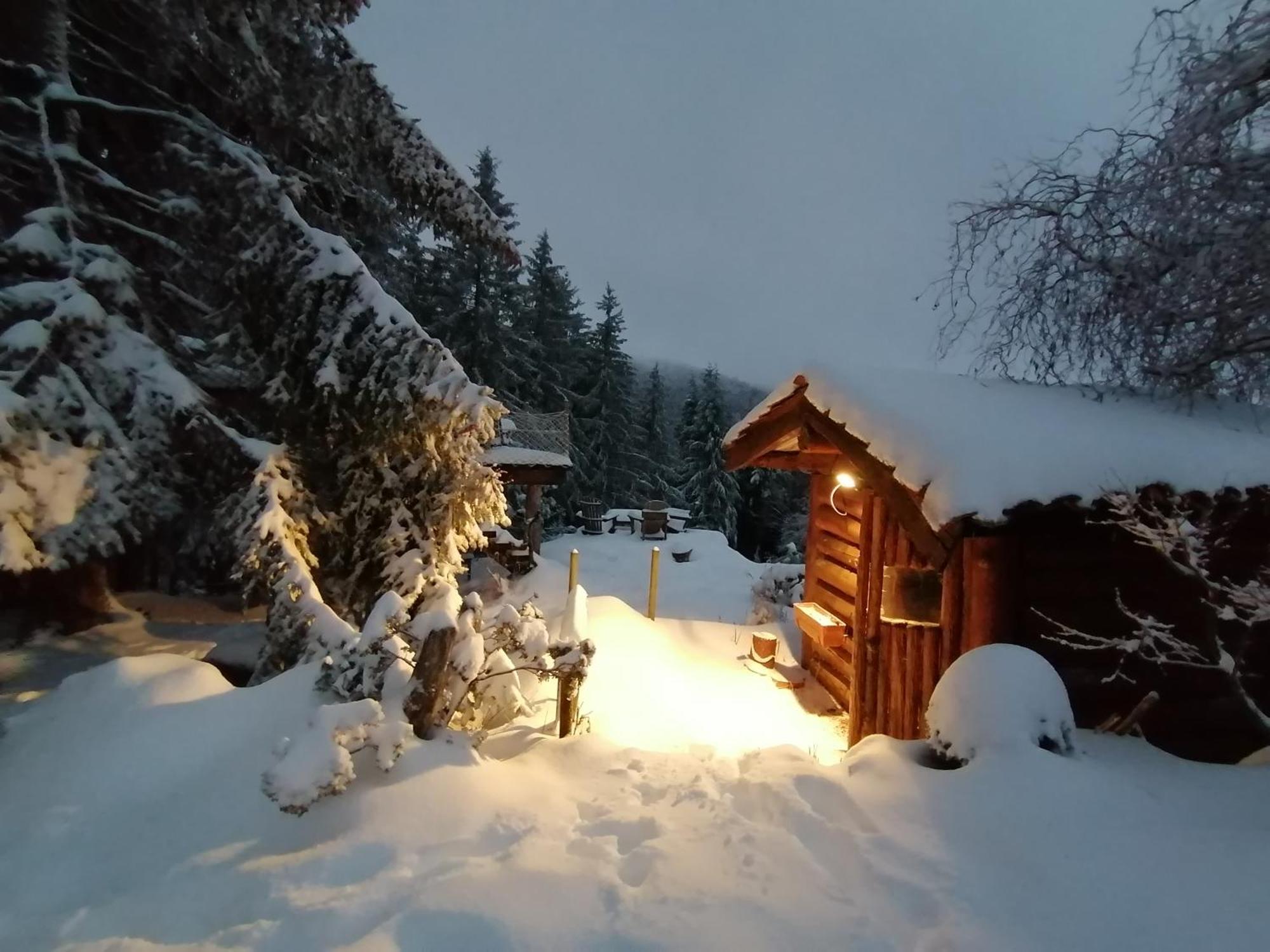 La Fortance Paradis Naturel - Proche De La Ville Planfoy Экстерьер фото