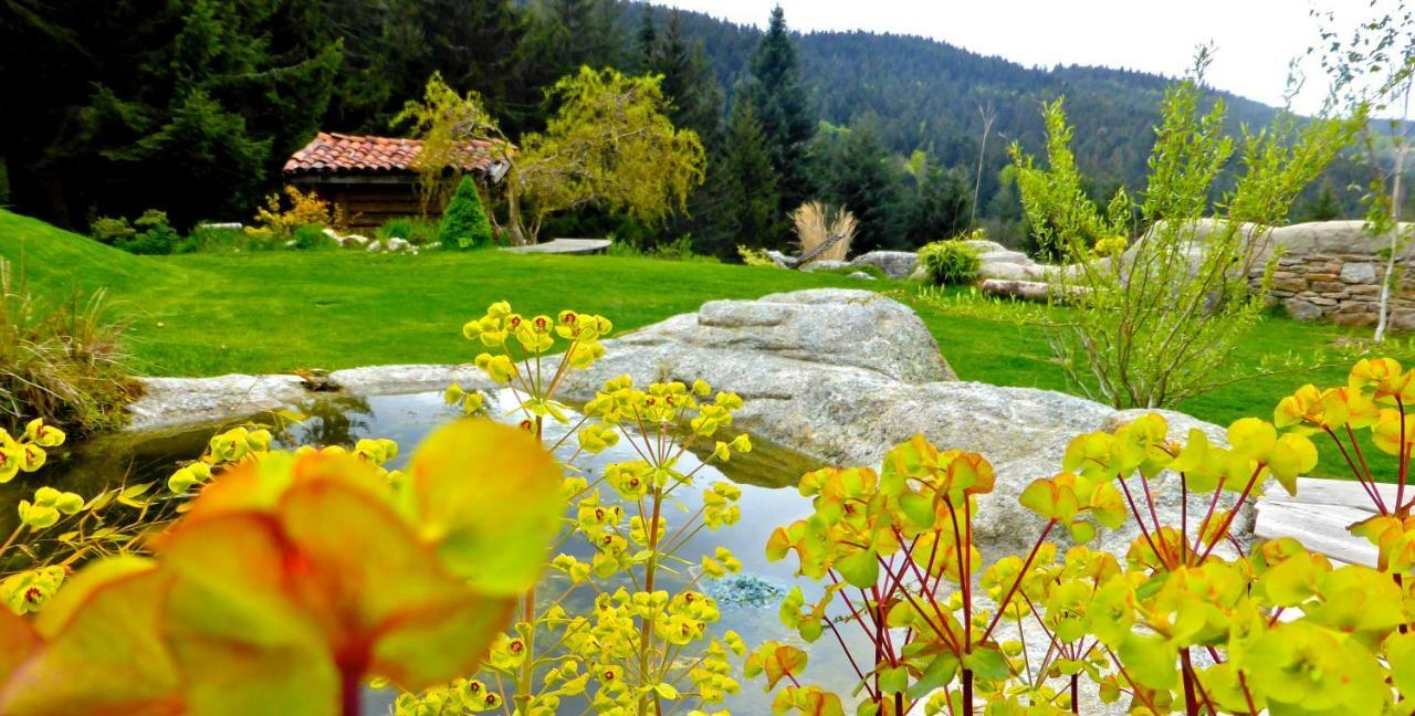 La Fortance Paradis Naturel - Proche De La Ville Planfoy Экстерьер фото